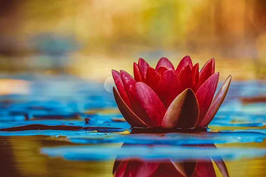 Chakra Balance: Hatha Yoga – offene Stunde?